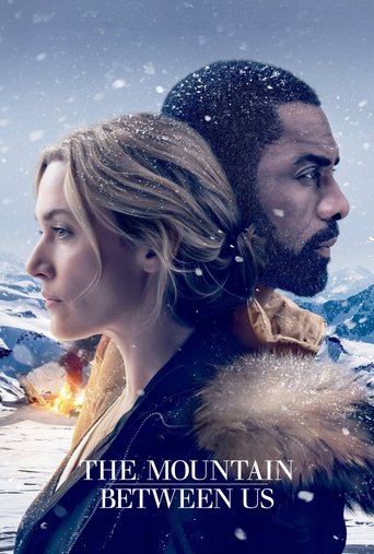 สองเราในความทรงจำ (The Mountain Between Us)