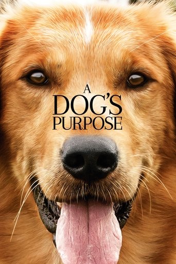 หมา เป้าหมาย และเด็กชายของผม (A Dog's Purpose)