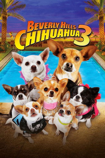 คุณหมาไฮโซ โกบ้านนอก 3 (Beverly Hills Chihuahua 3: Viva la Fiesta!)