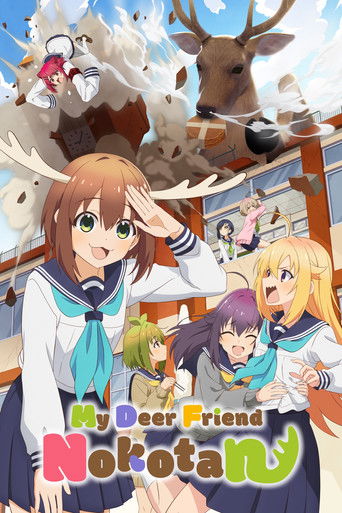 โนโกะตัน เพื่อนฉันพันธุ์กวาง (My Deer Friend Nokotan)