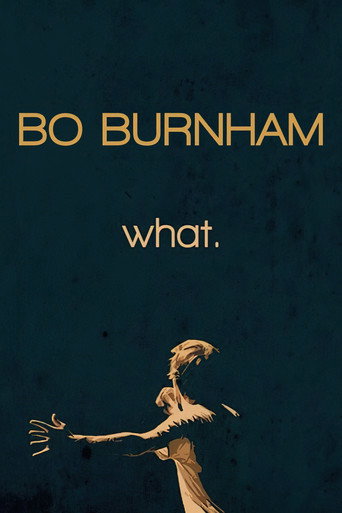 โบ เบิร์นแฮม: อะไรนะ (Bo Burnham: What.)