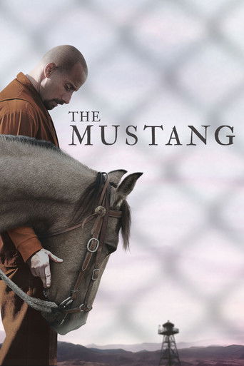 ม้าป่าแสนพยศ (The Mustang)