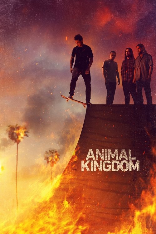 แอนิมอล คิงดอม (Animal Kingdom)